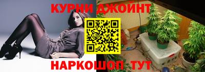 сатива Будённовск