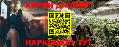 сатива Будённовск