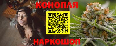 сатива Будённовск